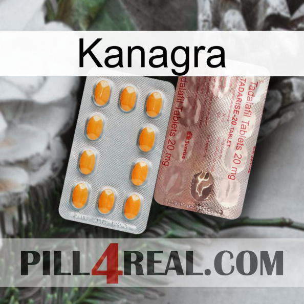 Kanagra new13.jpg